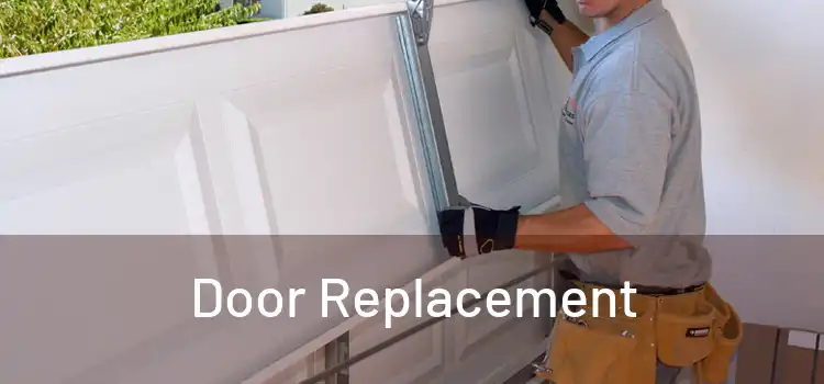  Door Replacement 